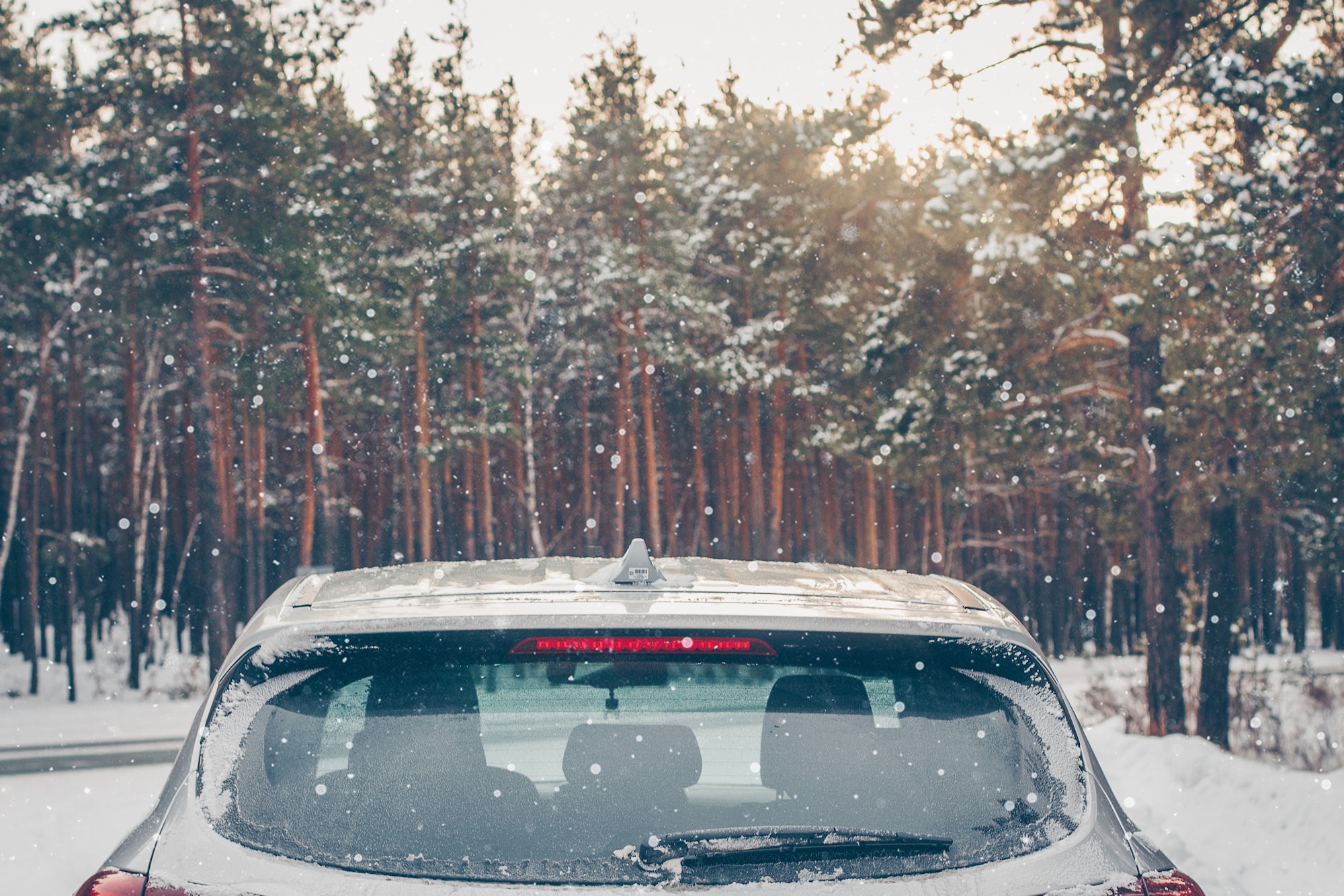 These Are The Best Vehicles For Snow Driving